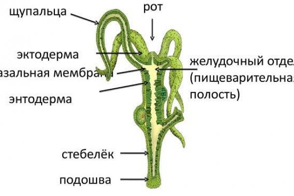 Рабочие ссылки omg omg